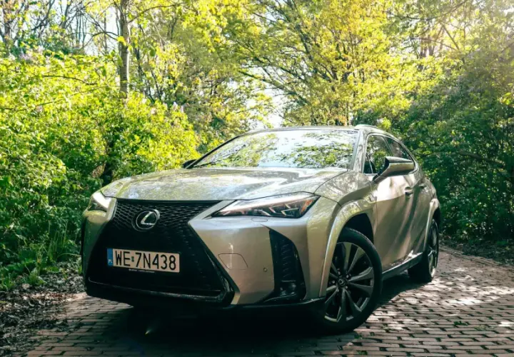 Srebrny Lexus UX 250h na brukowanej drodze w otoczeniu zieleni.