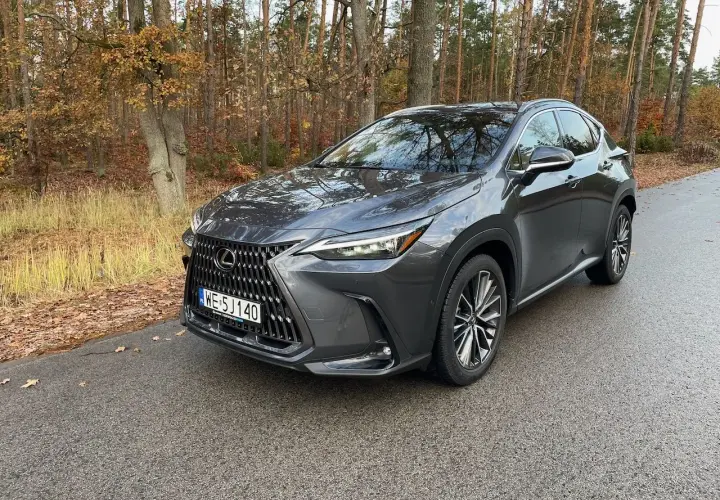Ciemnoszary Lexus NX450h+ na mokrej drodze w jesiennym lesie.