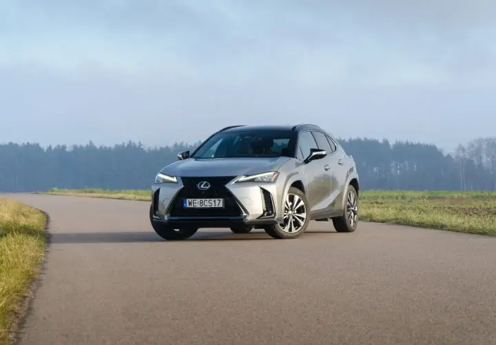 Srebrny Lexus UX 300h na pustej drodze, otoczony polami i lasem w tle.